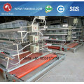 a Type Cage for Layers & Broilers Breeding Cage